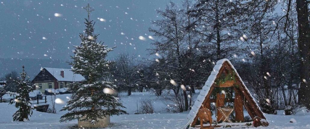 ADVENTNÍ ROZSVÍCENÍ VÁNOČNÍHO STROMKU