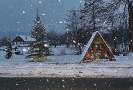 ADVENTNÍ ROZSVÍCENÍ VÁNOČNÍHO STROMKU